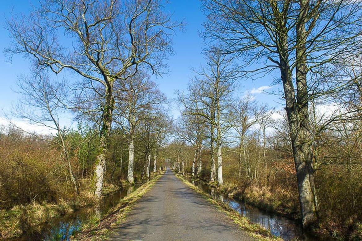 Le Domaine Des Bois Panzió Mauzé-Thouarsais Kültér fotó